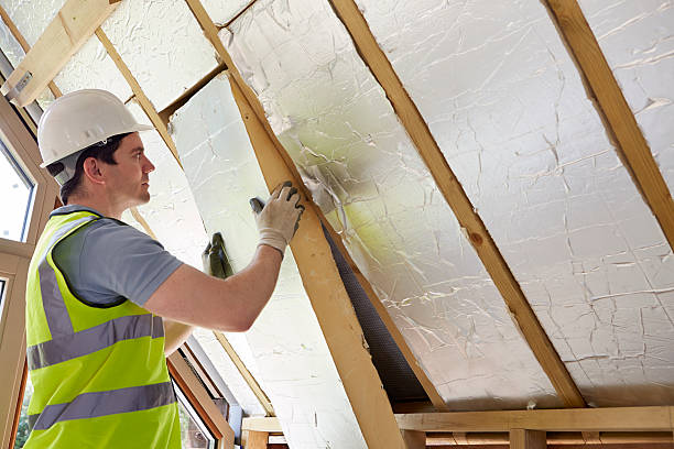 Best Geographic-Specific Insulation Services in Lake Camelot, WI