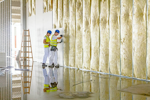 Best Geographic-Specific Insulation Services in Lake Camelot, WI